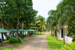 Image of River View Hotel
