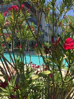 Image of Golf & Wellness Apartment 34.
