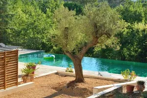 Image of Sous les oliviers - Jacuzzi - Studios de standing tout-équipés