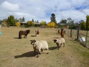 Image of Woodvale at Cooma
