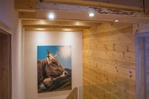 Image of Chalet Traumblick