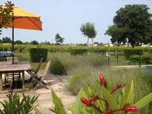 Image of Chateau des Grandes Vignes