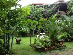 Image of Banban Nannan Library and Guesthome