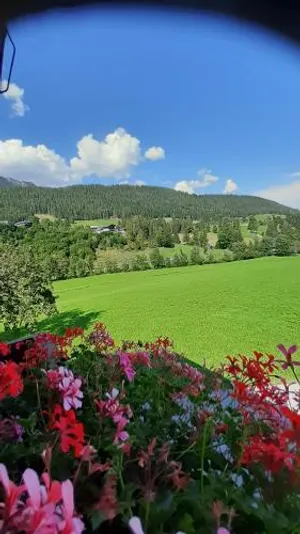 Image of Pension Trillerhof