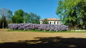 Image of Chez Savary