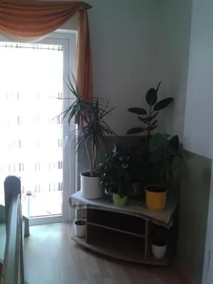 Image of Pension Irmisch