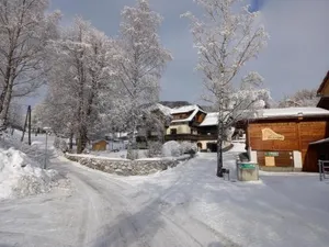 Image of Urlaub am Bauernhof Gänser