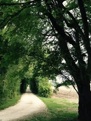 Image of Domaine Le Rolant