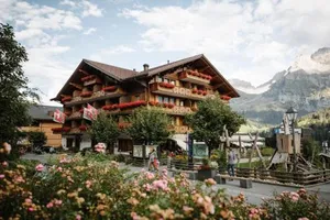 Image of Adler Adelboden