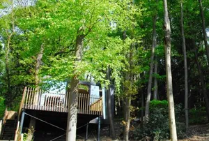 Image of Gite des Bois de Spa