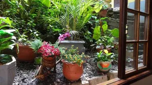 Image of Pousada Rua Thereza