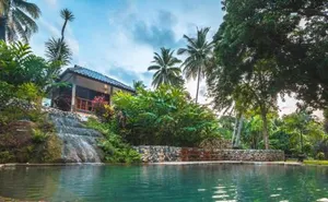 Image of In My Dream Resort