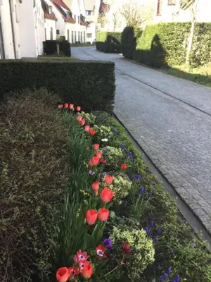 Image of B&B Het Colettientje