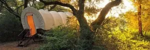 Image of BlissWood Bed and Breakfast Ranch