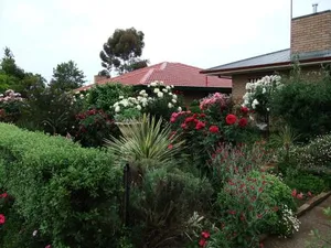 Image of Admurraya House Bed & Breakfast