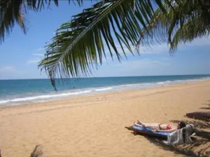 Image of Janus Paradise Rest