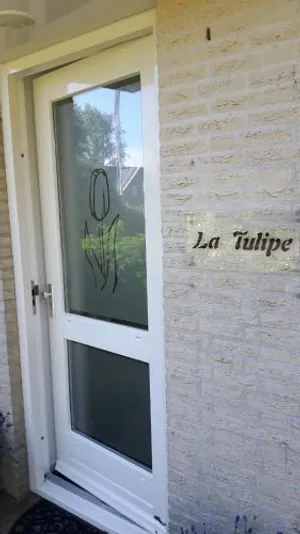 Image of La Tulipe