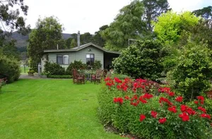 Image of The Little House on The Hill