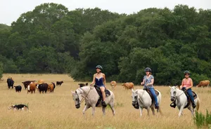 Image of BlissWood Bed and Breakfast Ranch