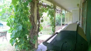 Image of Russellee Bed and Breakfast