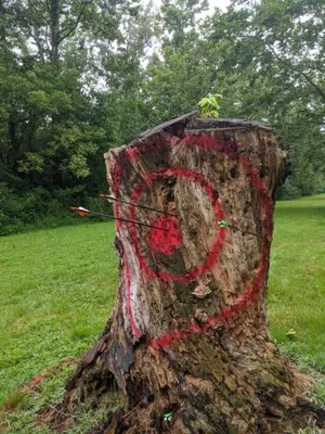 Image of Bear Bluff- pet friendly home on the river!