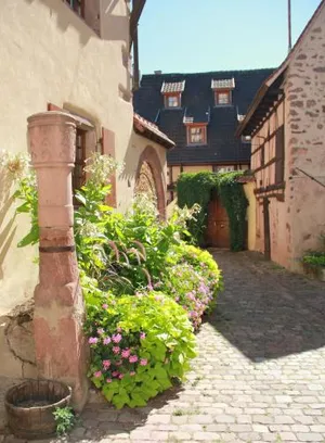 Image of Les Gîtes Coeur de Vigne