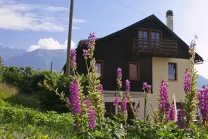 Image of Les Soldanelles