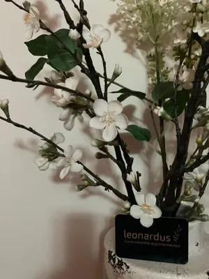 Image of Luxe Appartementen Leonardus