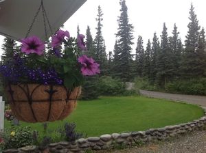 Image of Denali Primrose B&B