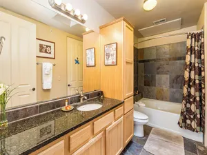 Image of Cactus Flower