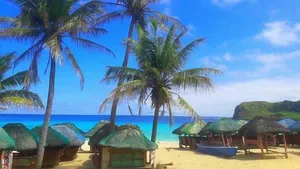 Image of Buena Vista Beach Resort