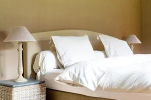 Image of The Guest