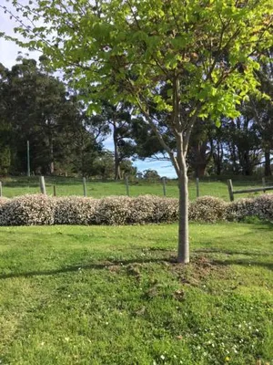 Image of Nextdoor@portarthur