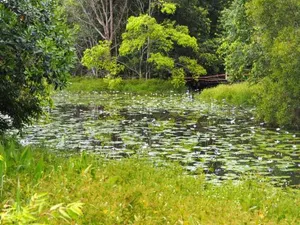 Image of Lilypad Luxury Cabins