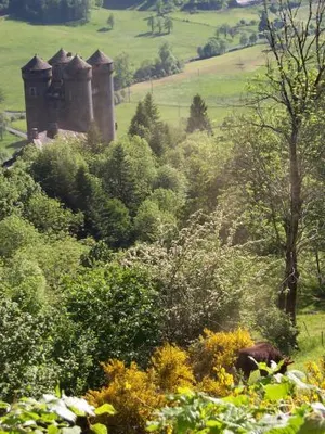 Image of Auberge Hôtel de Tournemire - Cantal