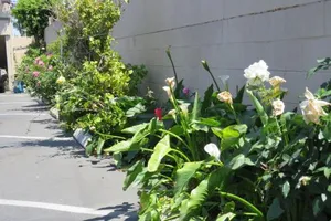 Image of Florentina Motel - Los Angeles