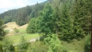 Image of Waldblick