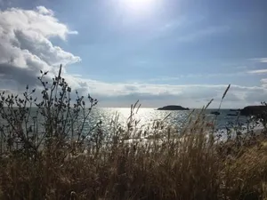 Image of Le Domaine de la Héchaie