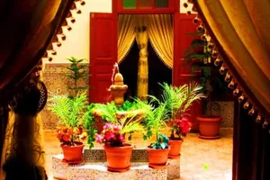 Image of Riad Dar Al Fassia
