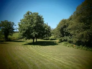 Image of Betaillole