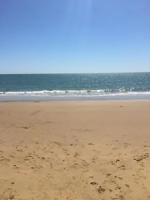 Image of The Bay Beach Shack, Hervey Bay