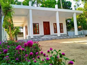 Image of Coconut Garden