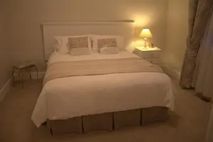 Image of The Yellow Daisy