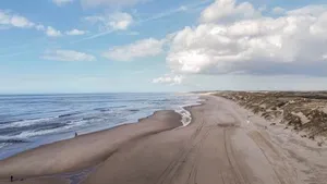 Image of Duinerei 2