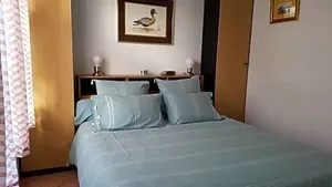 Image of La Wattendamhuys