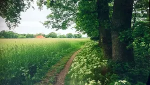 Image of Huis Eedingh