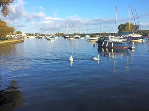 Image of No Car Needed