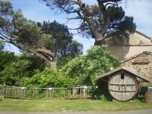 Image of Les Ombelles Albigeoises