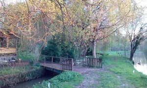 Image of Au Chat qui Pêche