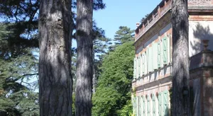 Image of Arquier